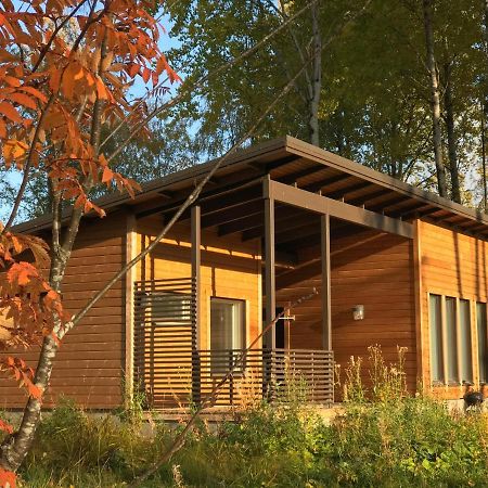 Wooddream Villa Taipalsaari Eksteriør billede